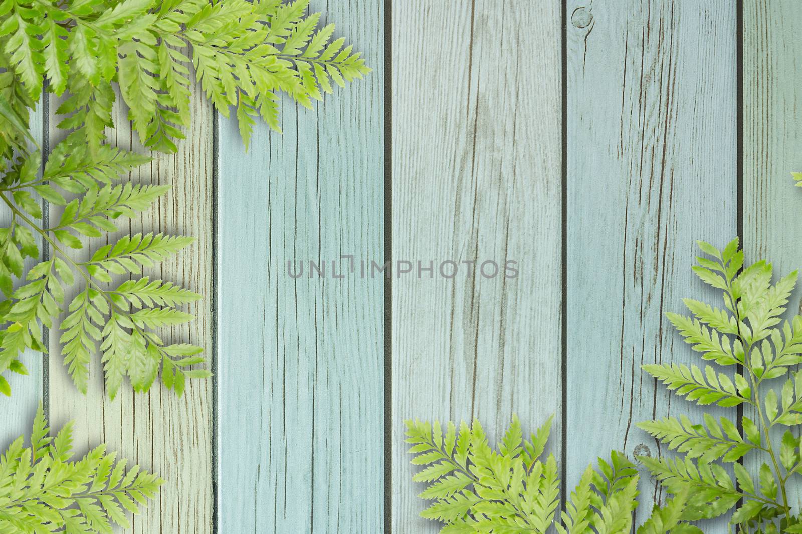 Green Leaves On Wooden With Spaces For Text, Nature Border by rakoptonLPN