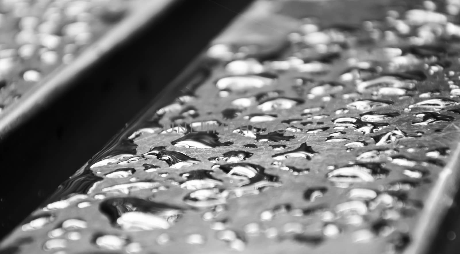 water drops on bench monochrome photo. Beautiful picture, background, wallpaper 