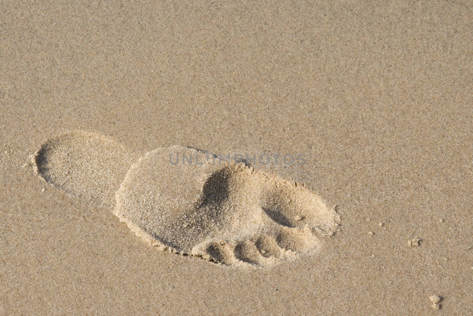 Footprint on the beach photo. Beautiful picture, background, wallpaper 