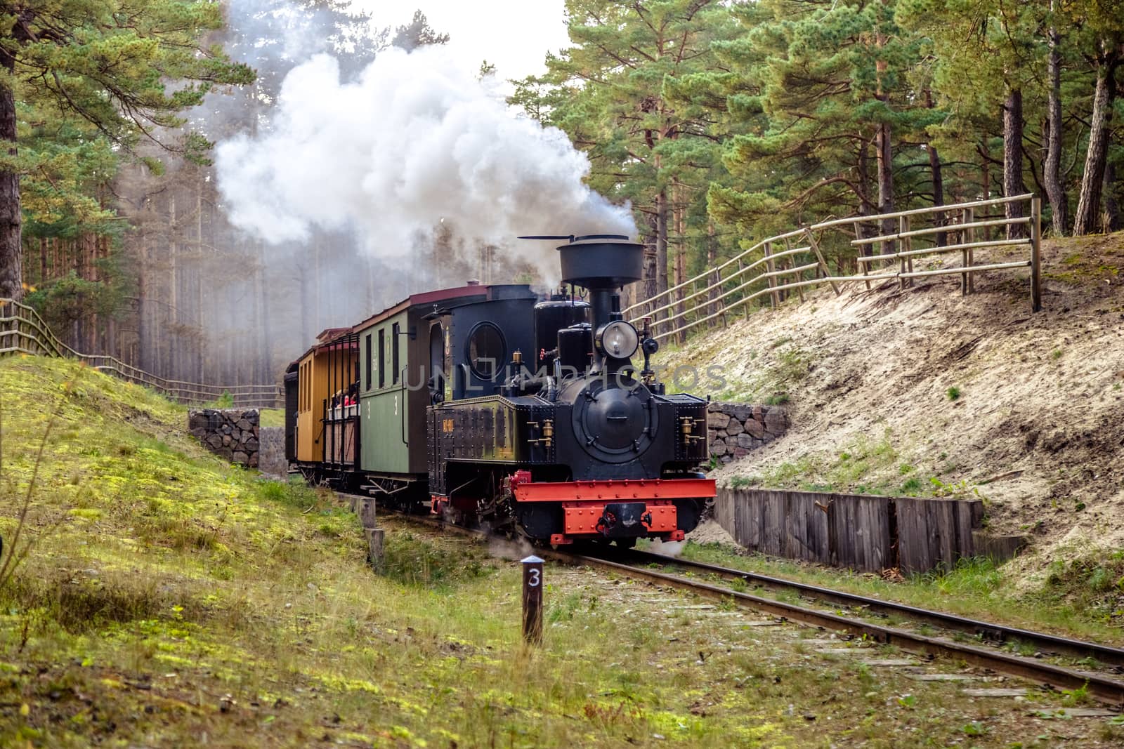 Train oRetro retro-train on a narrow-gauge railway in the museum, Ventspilsn a narrow-gauge railway