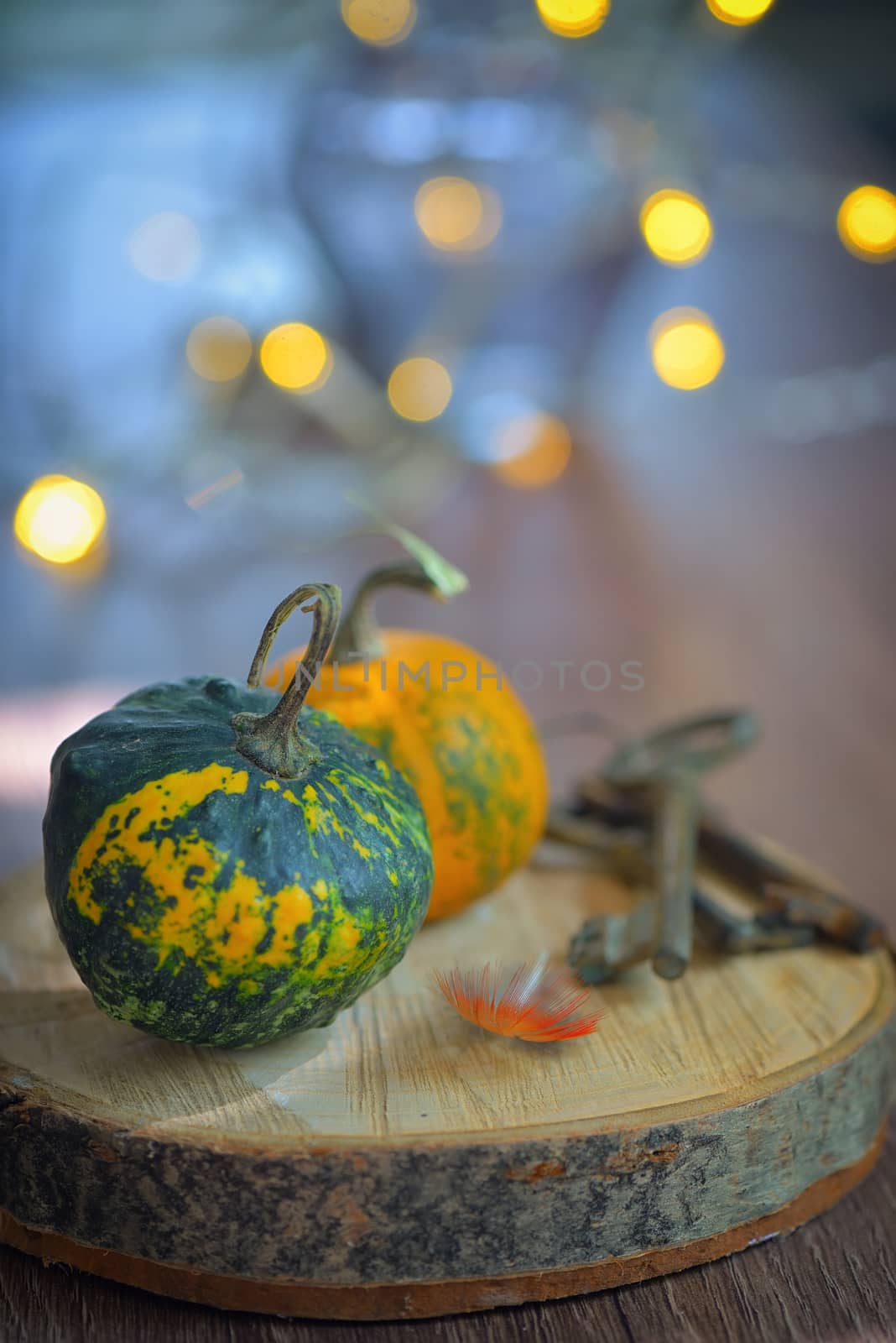 Autumn decoration with small pumpkins and lights
