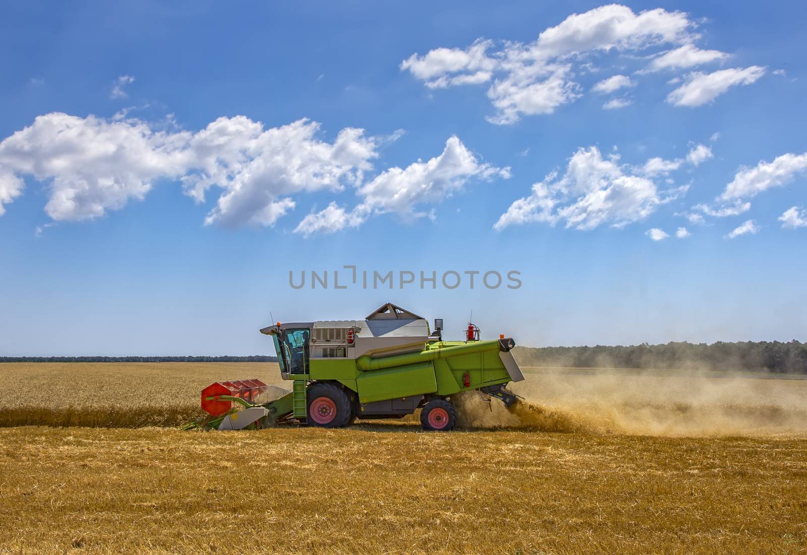 Combine harvester working on a wheat field. 