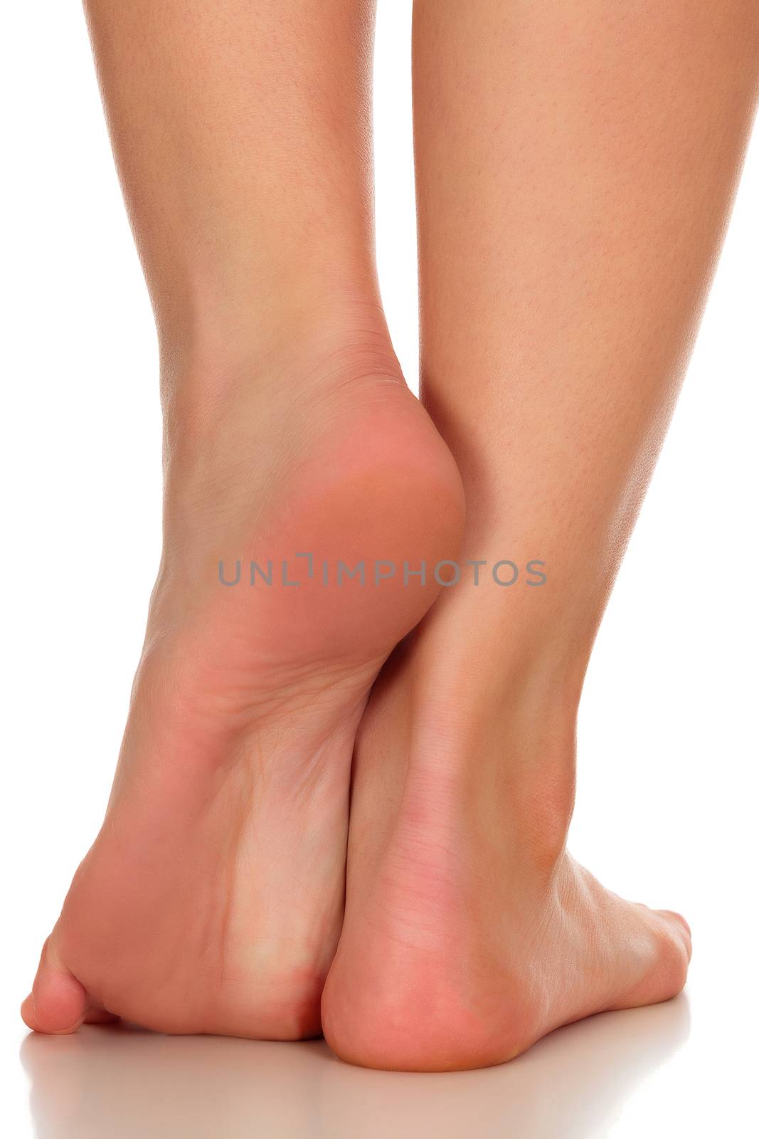 Closeup shot of female feet, isolated on white background