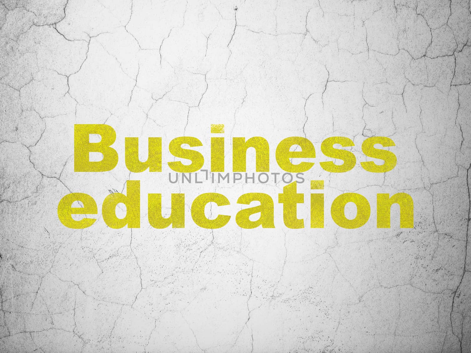 Education concept: Business Education on wall background by maxkabakov
