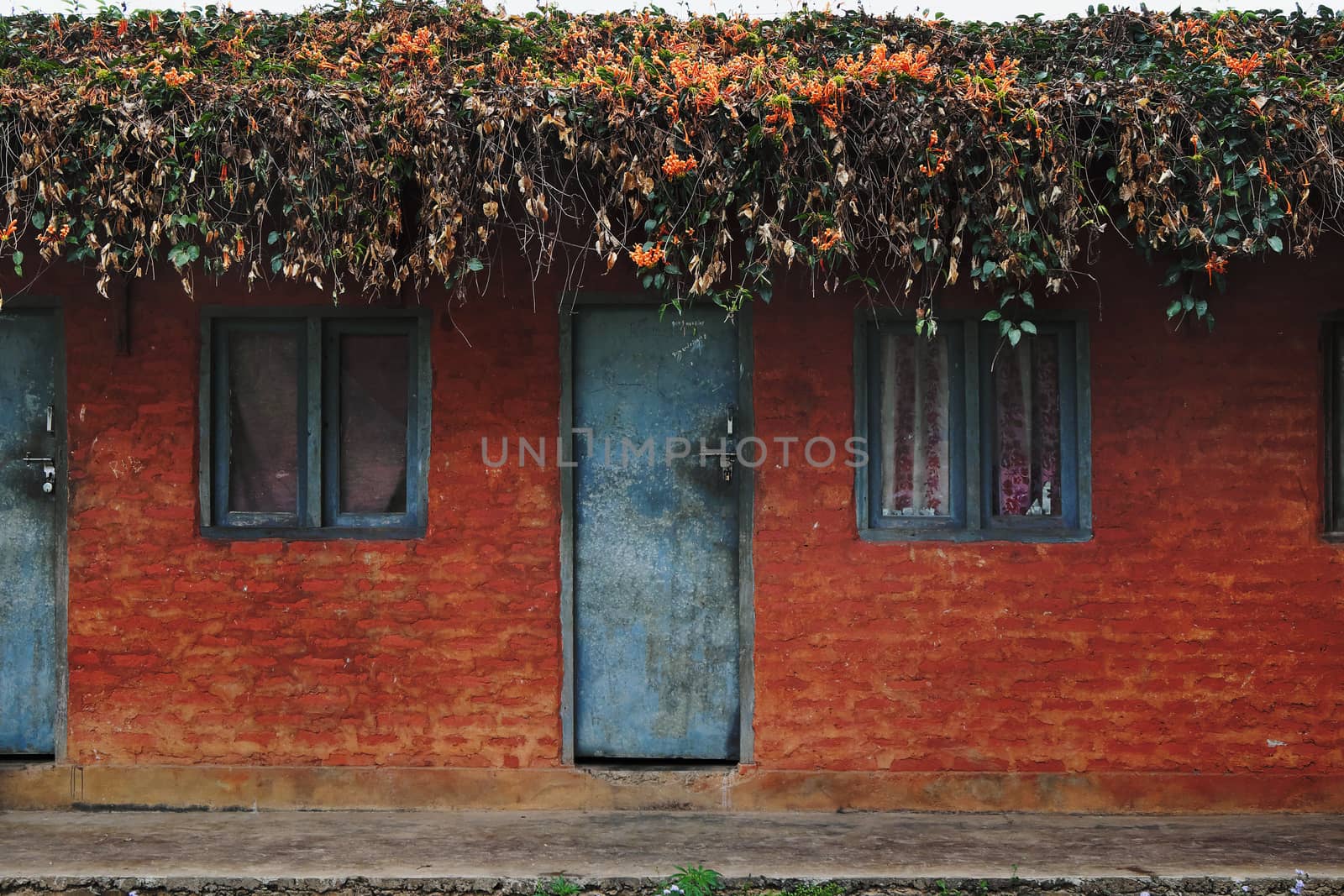 Old Nepalese simple red house with a blue windows and doors, with a flowers on the rooftop