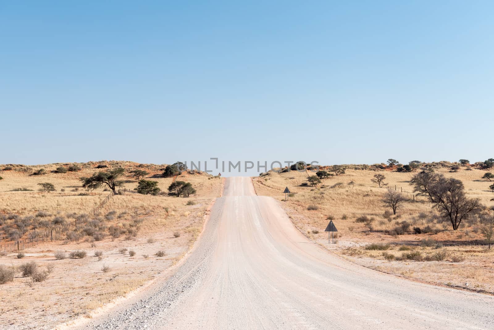 The C17-road in the southern Kalahari area of Namibia crosses many overgrown red sanddunes