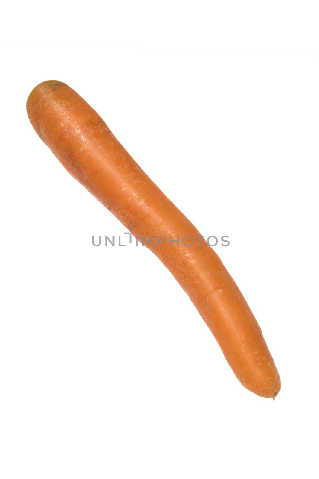 carrot  isolated on white background