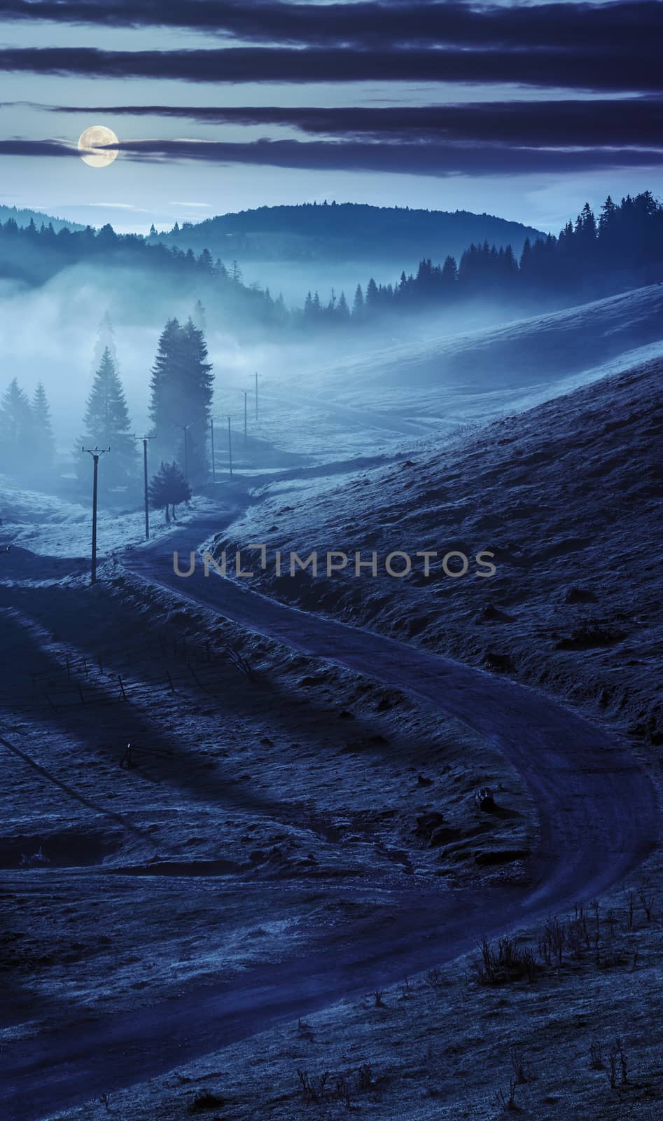 curve road to mountain forest in fog at night by Pellinni
