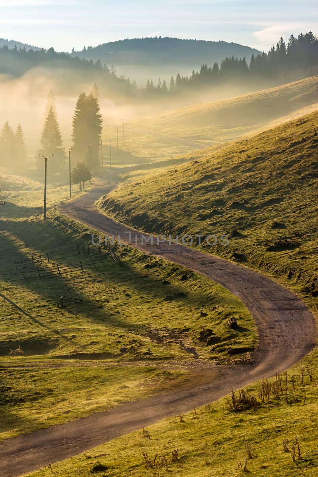 rural landscape. curve road to conifer forest in fog through  hillside meadow  in high mountains in morning light