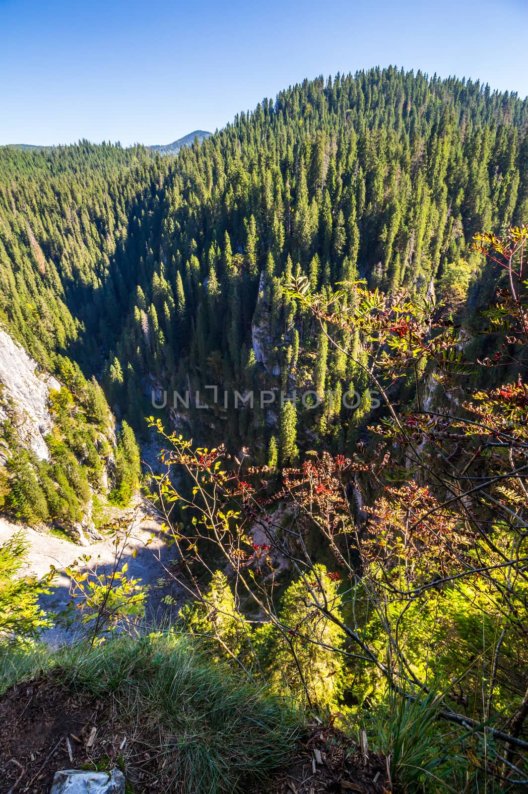 steep cliff in romanian mountains by Pellinni