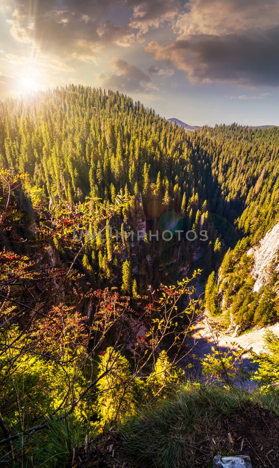 steep cliff in romanian mountains at sunset by Pellinni