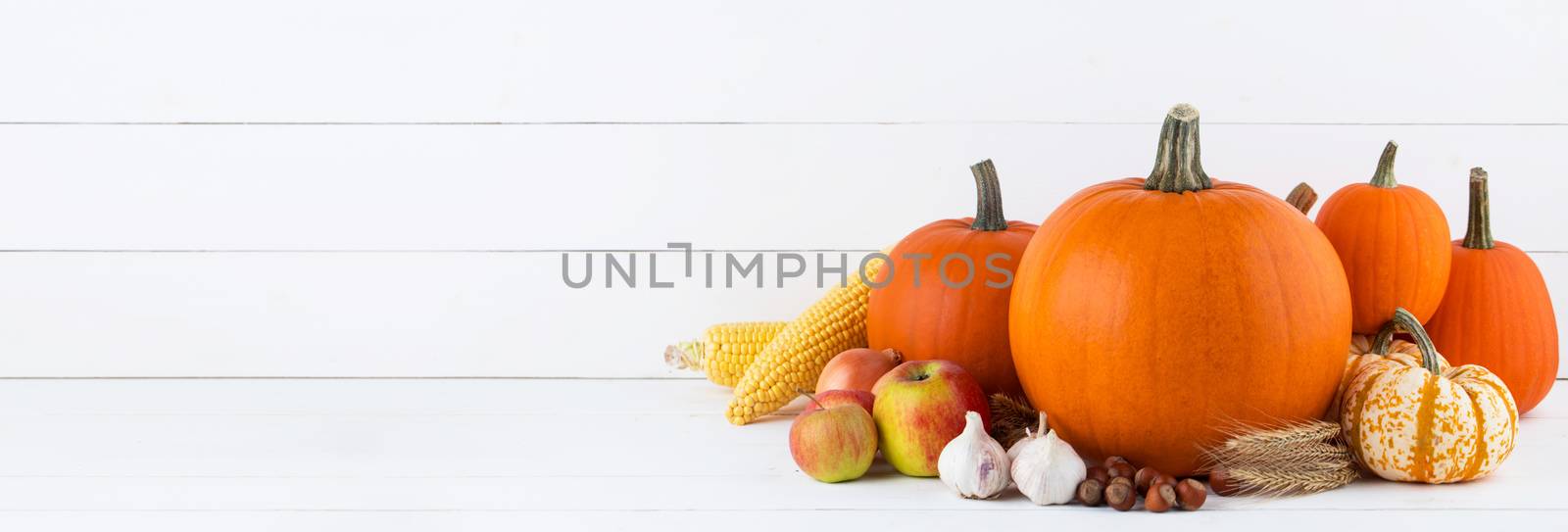 Autumn harvest still life with pumpkins, wheat ears, hazelnuts, garlic, onion, apple and corn on white wooden background