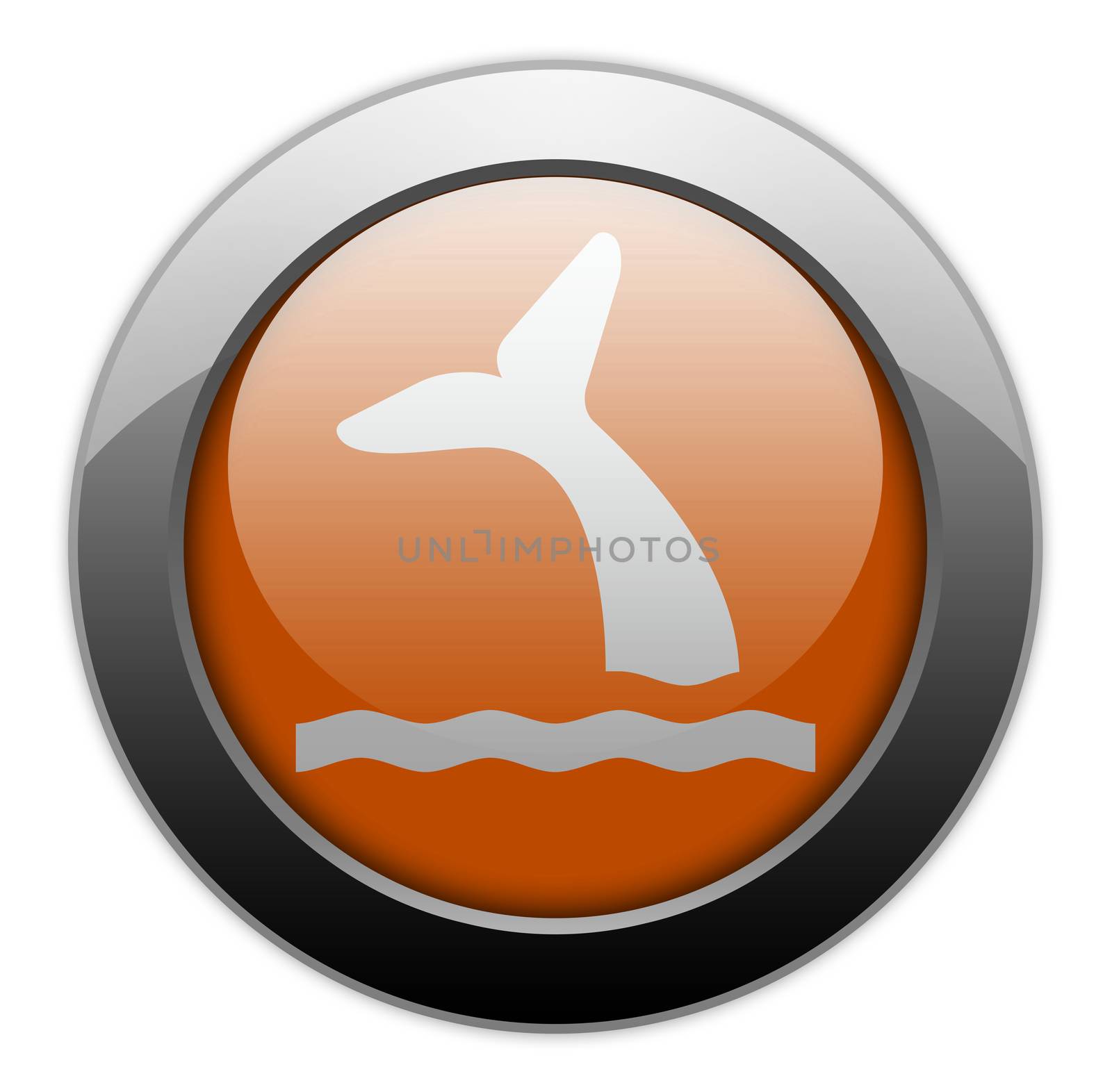 Icon, Button, Pictogram Whale by mindscanner