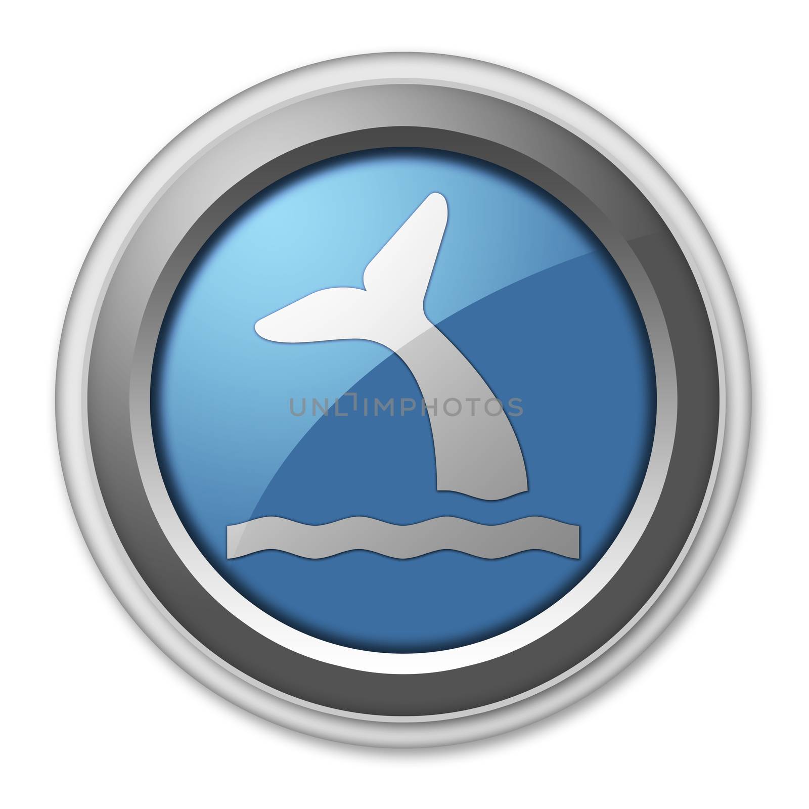 Icon, Button, Pictogram with Whale symbol