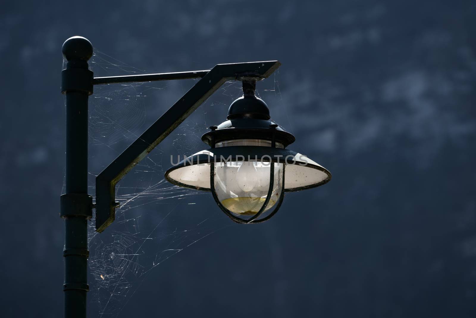 Spiders Web Attached to a Lamppost in Hallstatt by phil_bird