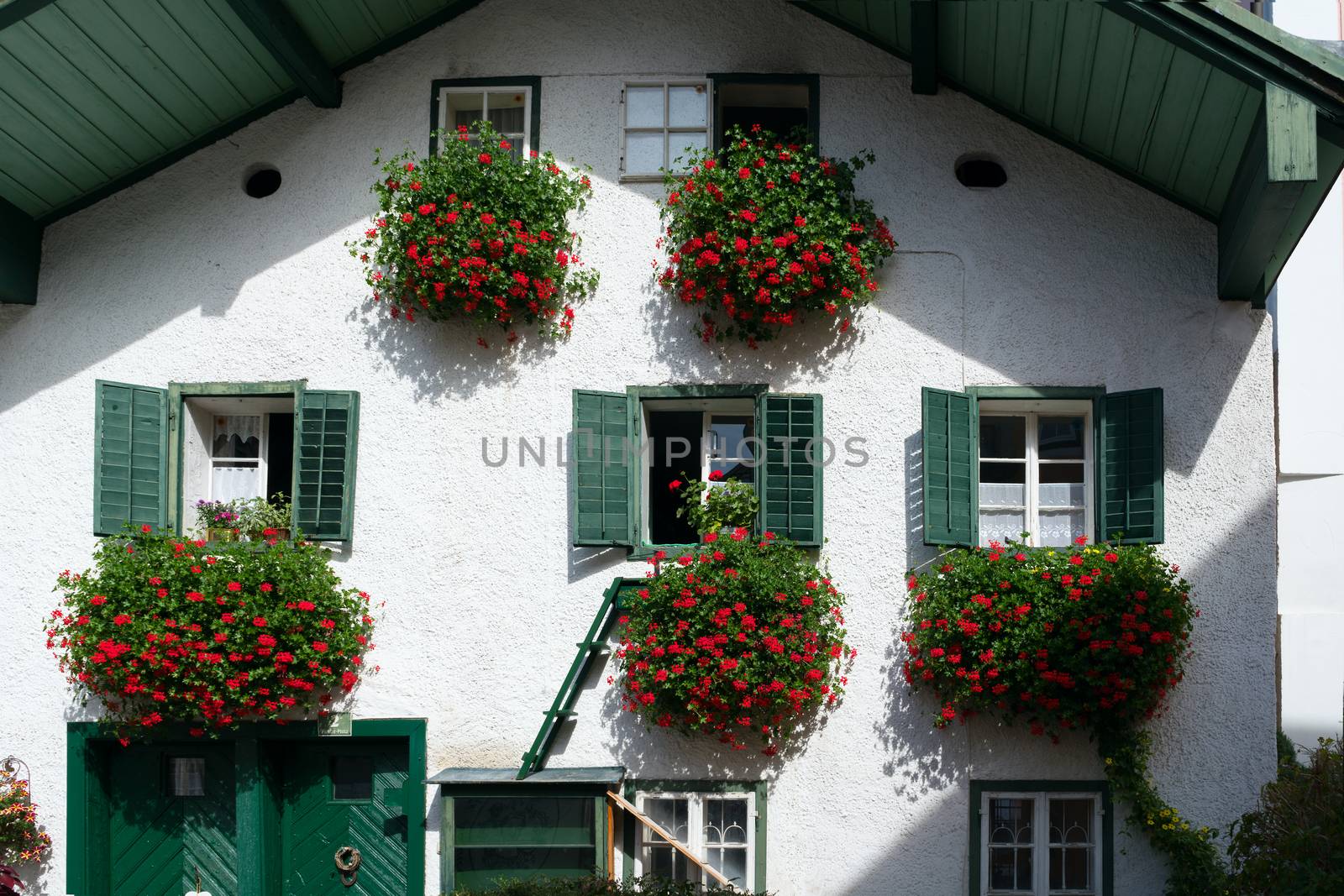 Red Geraniums Hanging from a House in St. Gilgen by phil_bird