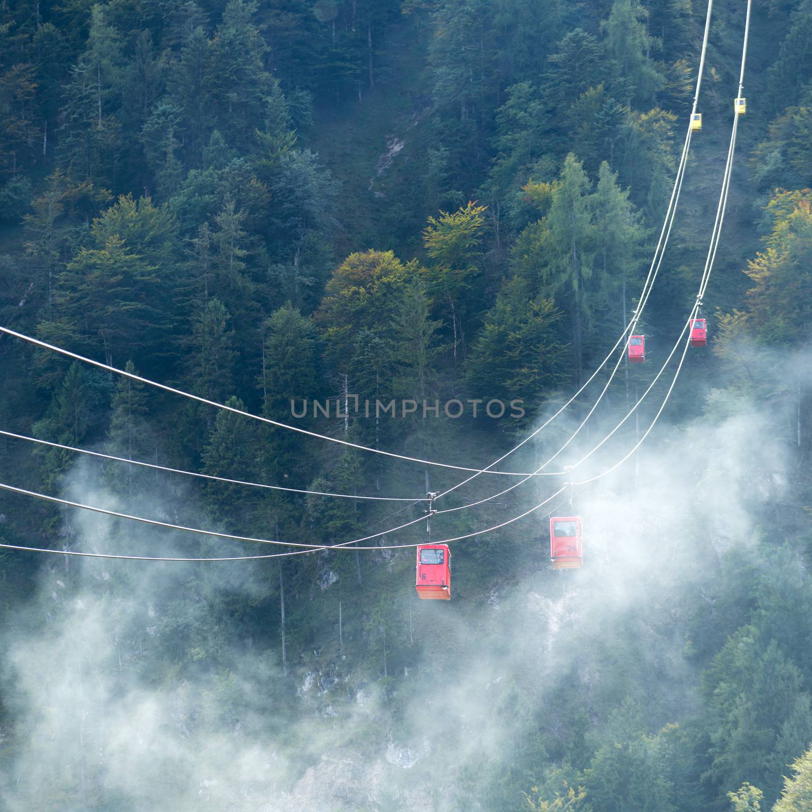 Zwölferhorn Mountain Cable Car Running down to St Gilgen by phil_bird