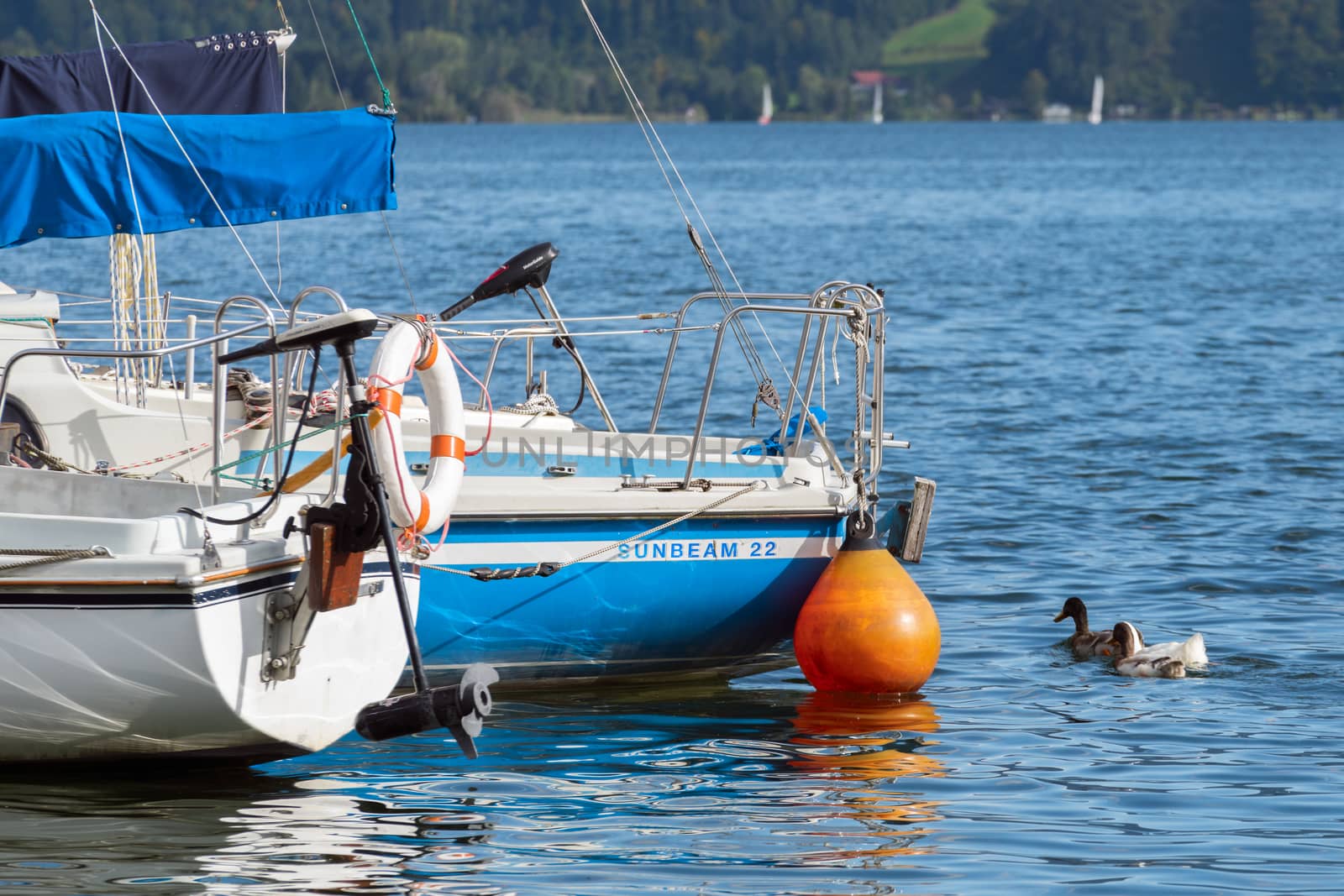 Yachts at Lake Mondsee in Austria by phil_bird