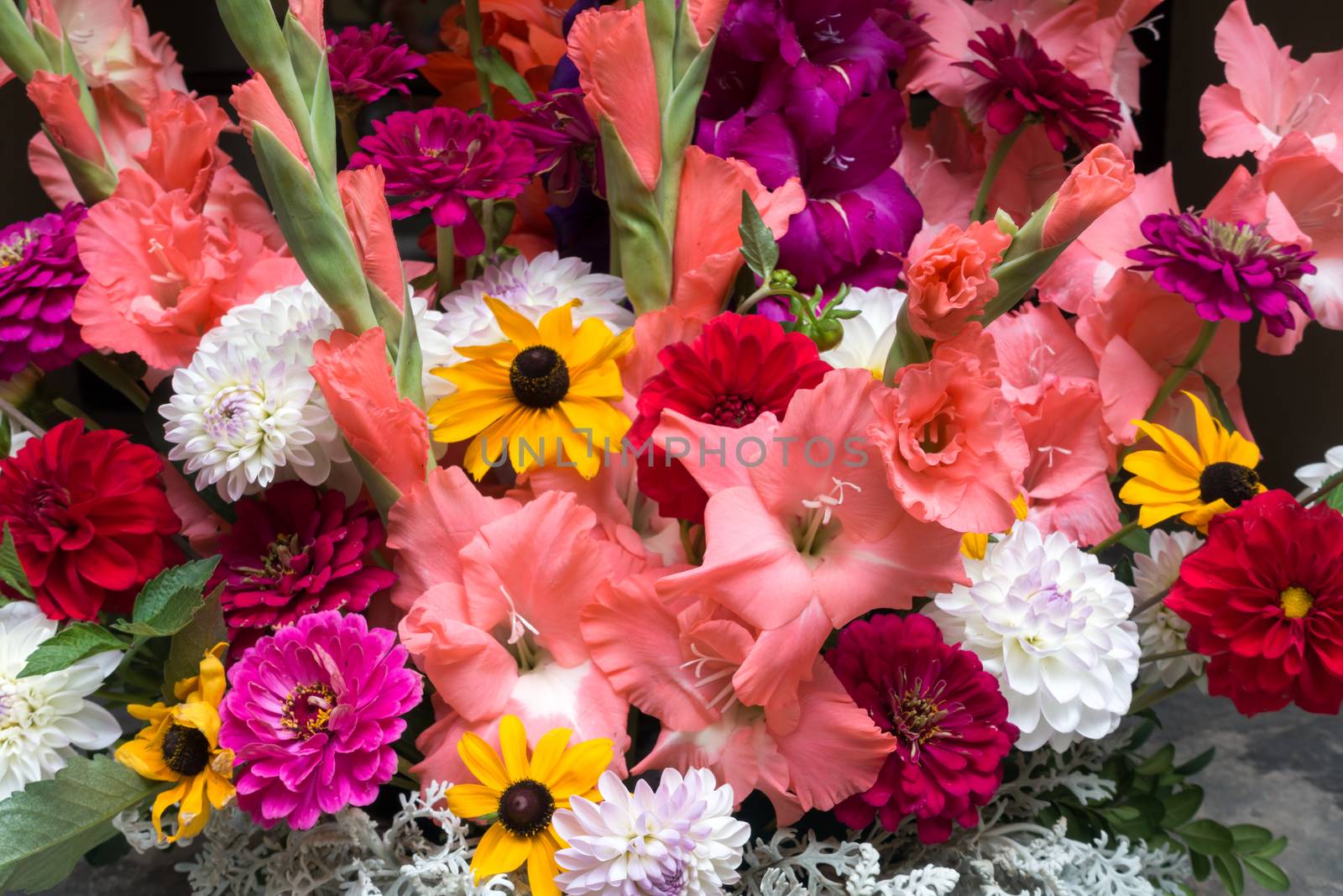 Display of Colourful Cut Flowers by phil_bird