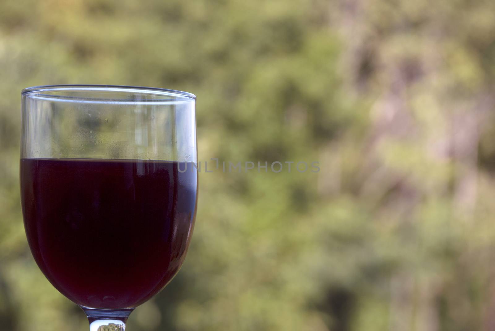 Red wine. Extreme shallow depth of focus . Red vineyard