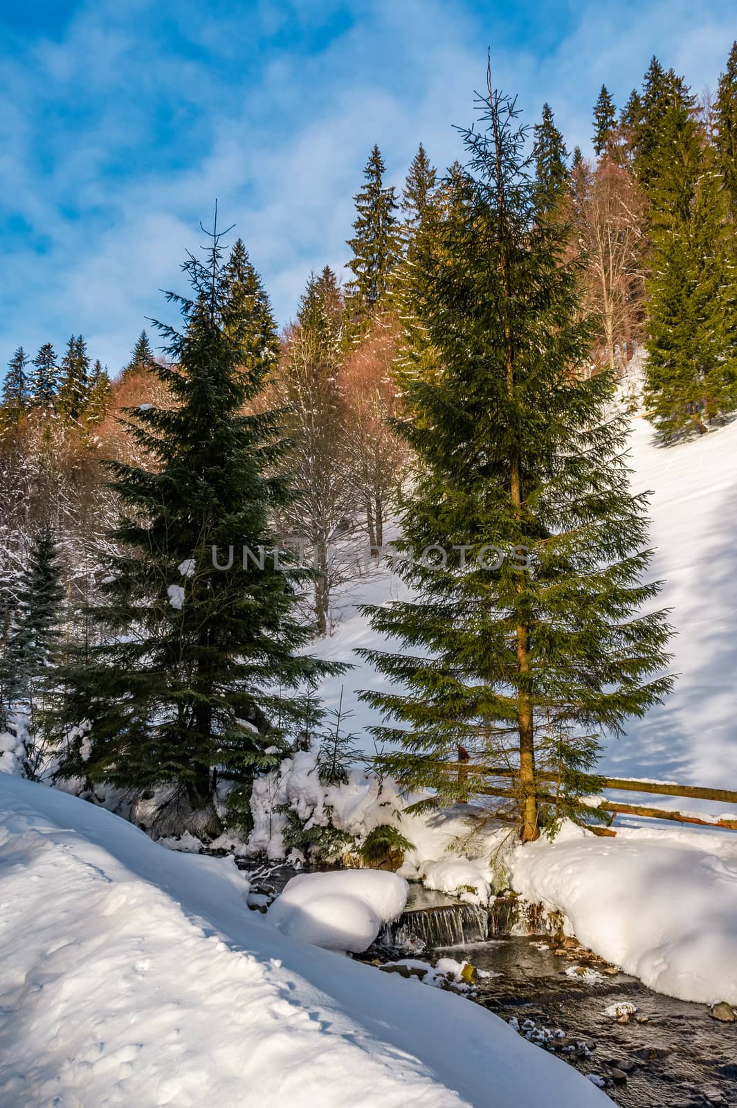 brook with cascade in winter spruce forest by Pellinni