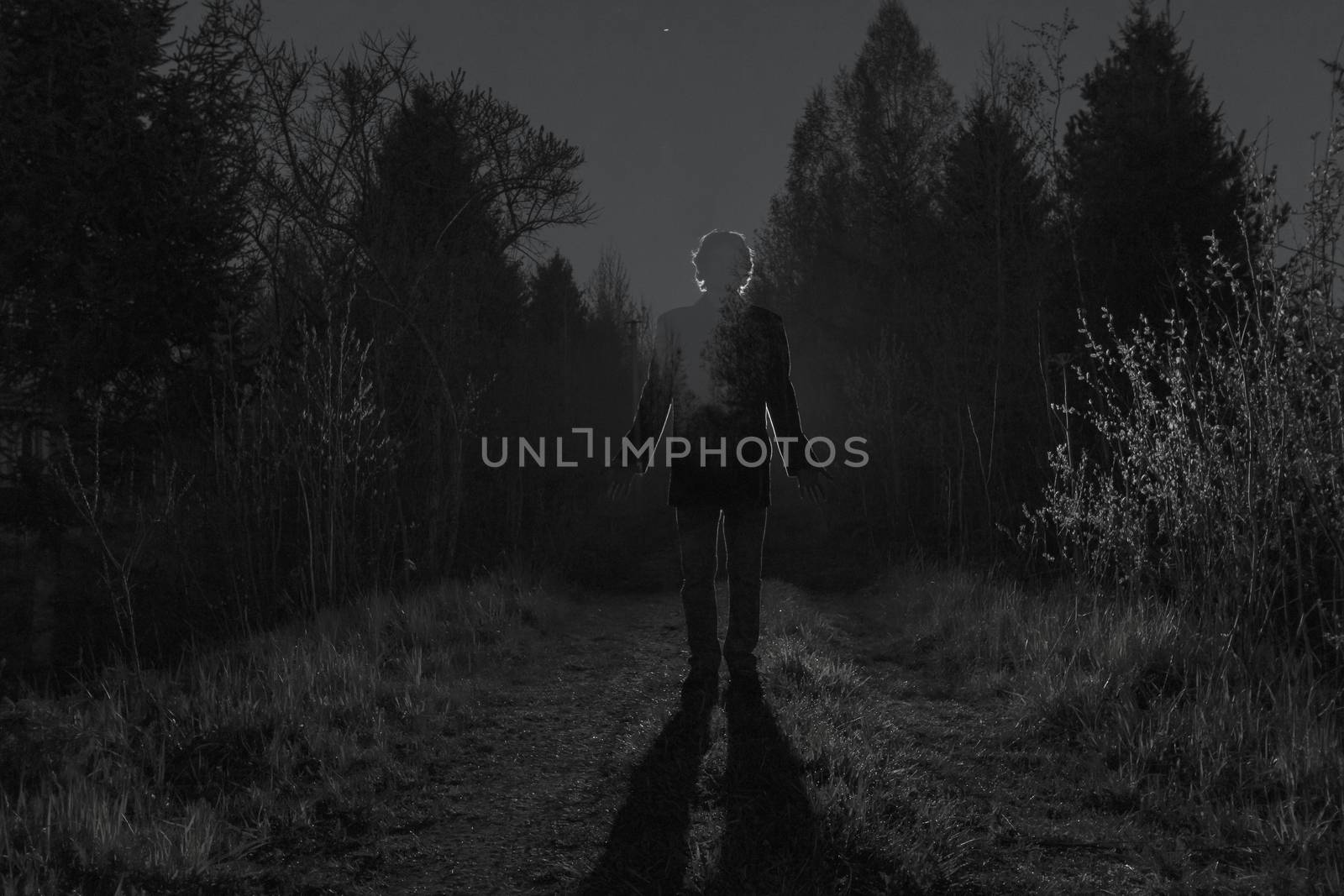 Male silhouette at the dark forest pathway through the bushes in the night. Man standing on the road against the car headlights. Mystery ghost concept. Black and white