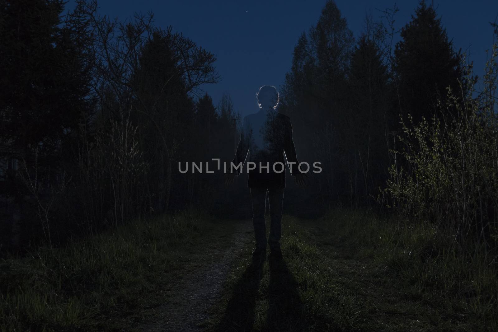 Male silhouette at the dark forest pathway through the bushes in the night. Man standing on the road against the car headlights. Mystery ghost concept. Soft focus.