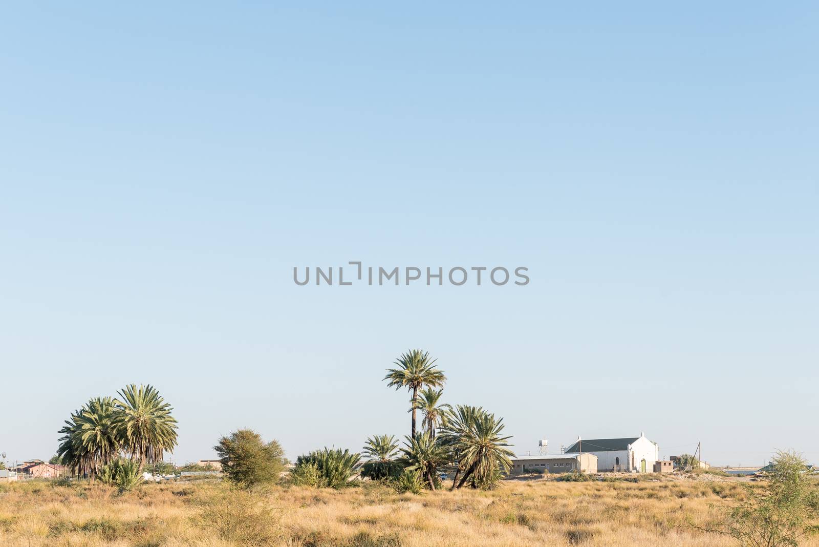 A view of Rietfontein, a small town in the Northern Cape Province of South Africa on the border with Namibia. A fountain is between the palm trees