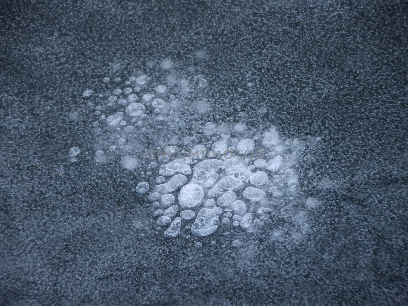 Frozen White Bubbles in Sea Water Ice Floe by HoleInTheBox