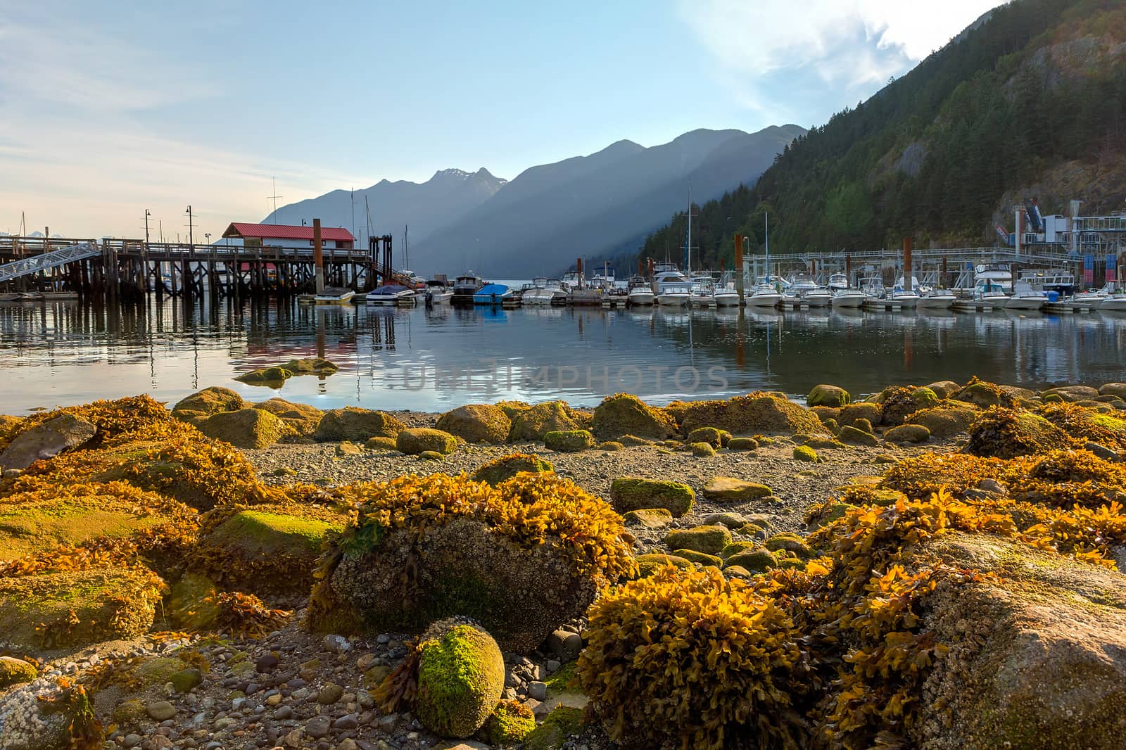 Low tide at Horseshoe Bay in British Columbia Canada on a sunny day