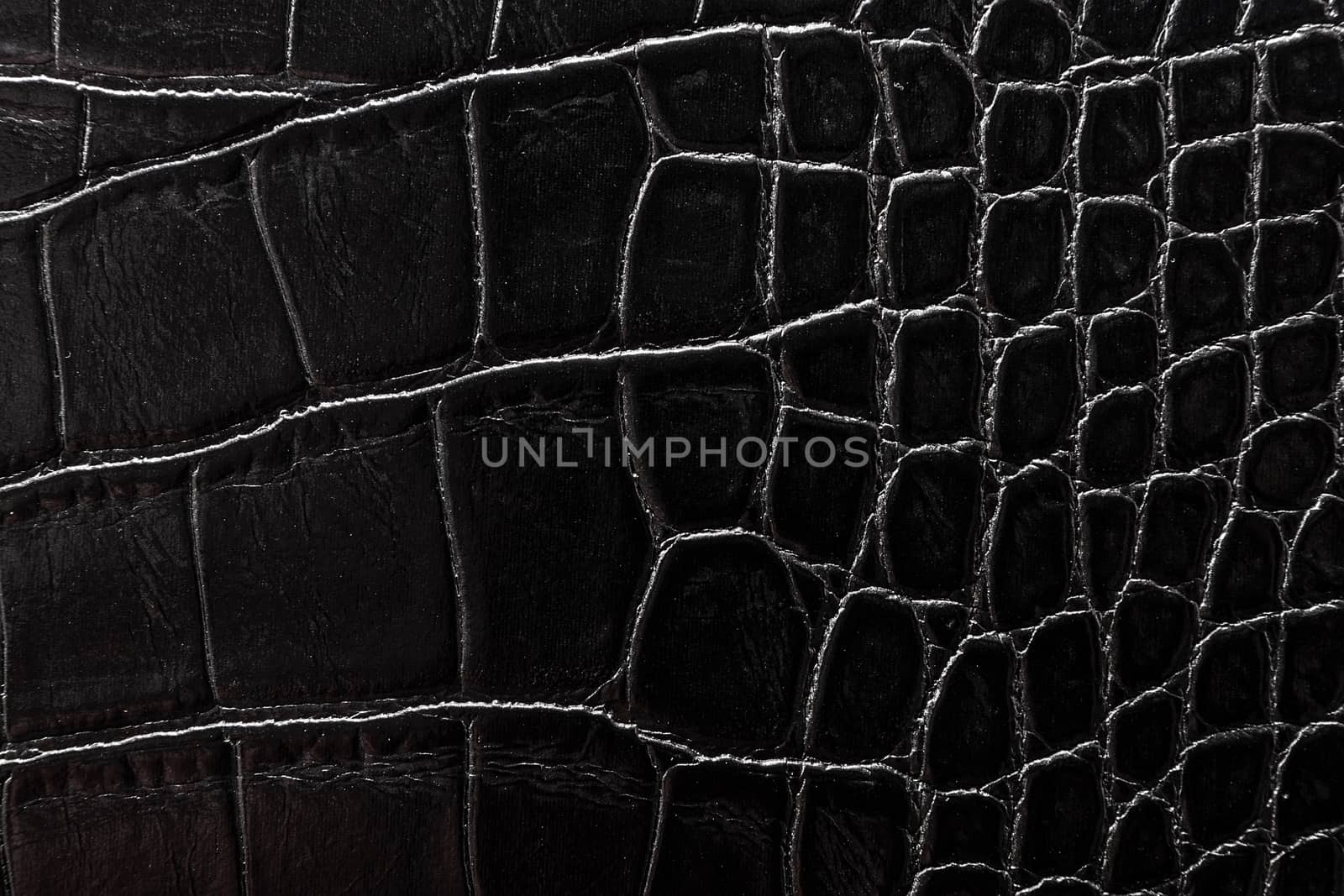 the texture of the skin is gray by AlexBush