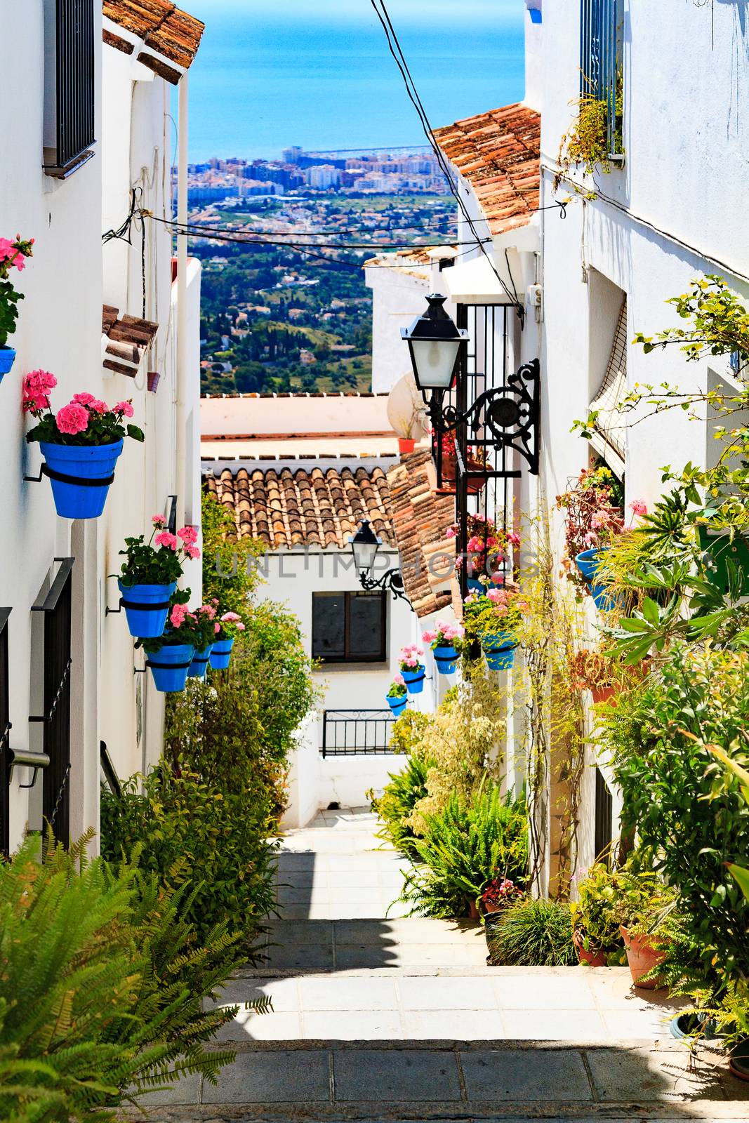 Closeup shot of street of flowers and plant pots, Mijas, Andaluc by Nobilior