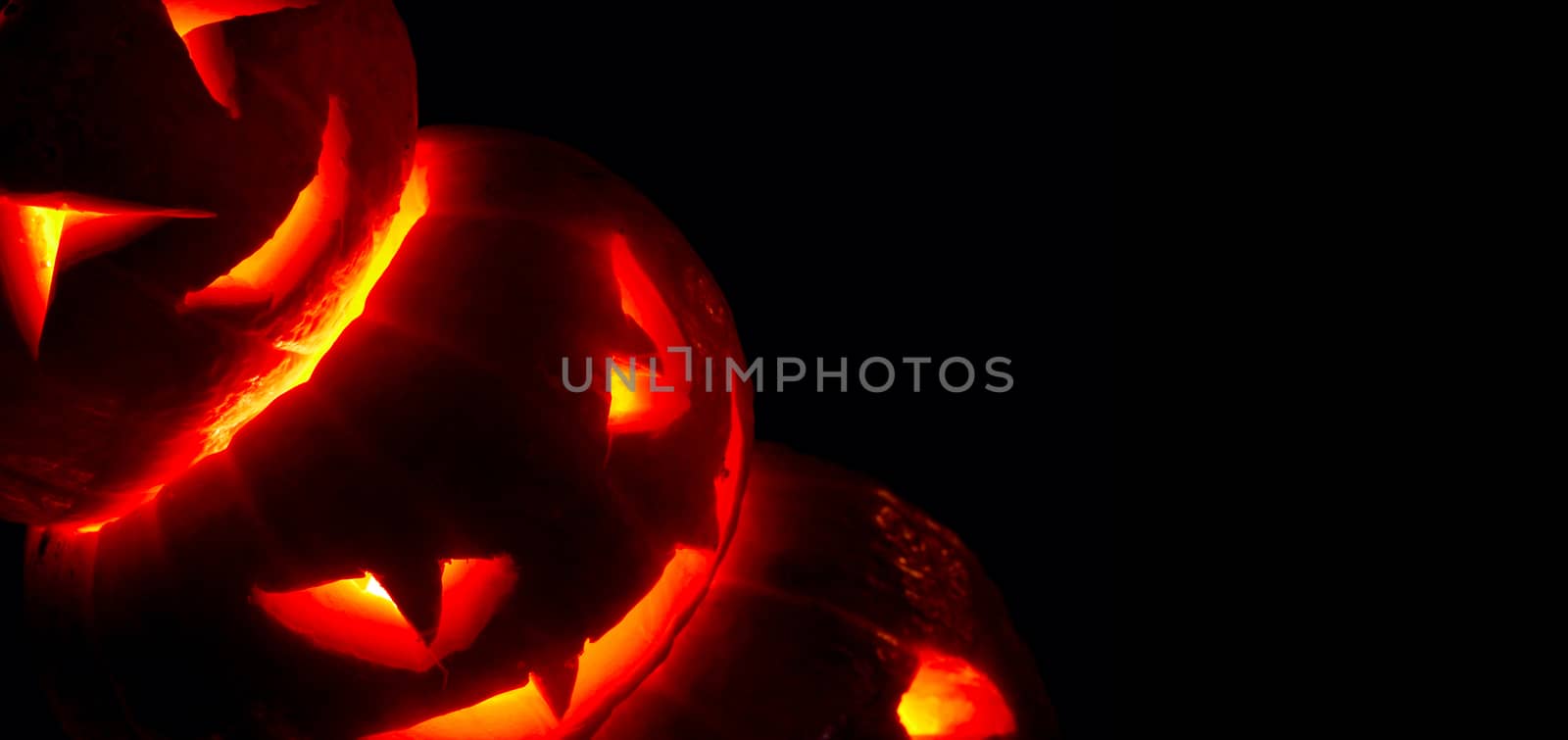 Illuminated cute three halloween pumpkins isolated on black background
