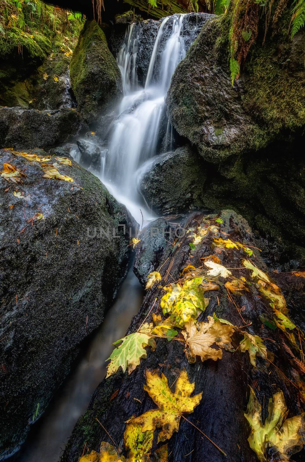 A Small Waterfall in the Mountains of California by backyard_photography