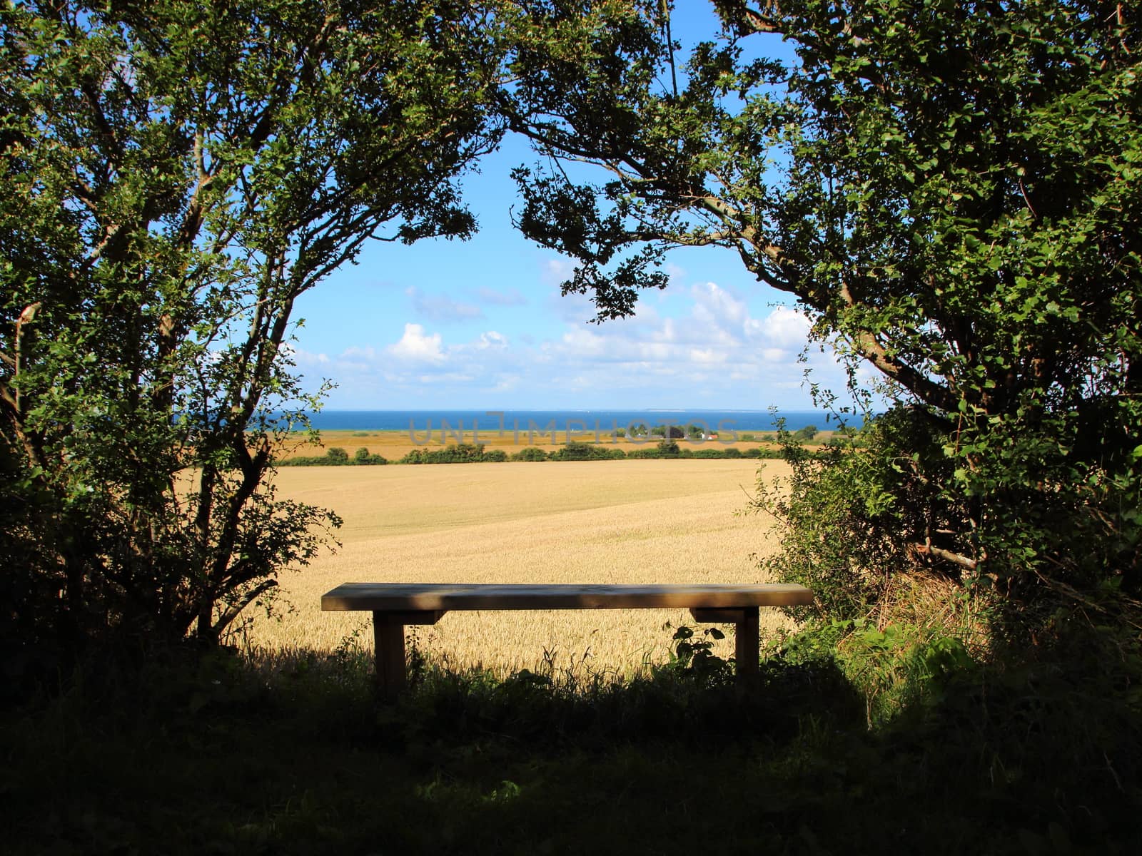 Scenic Viewpoint with Bench Sea Horizon and Fields by HoleInTheBox