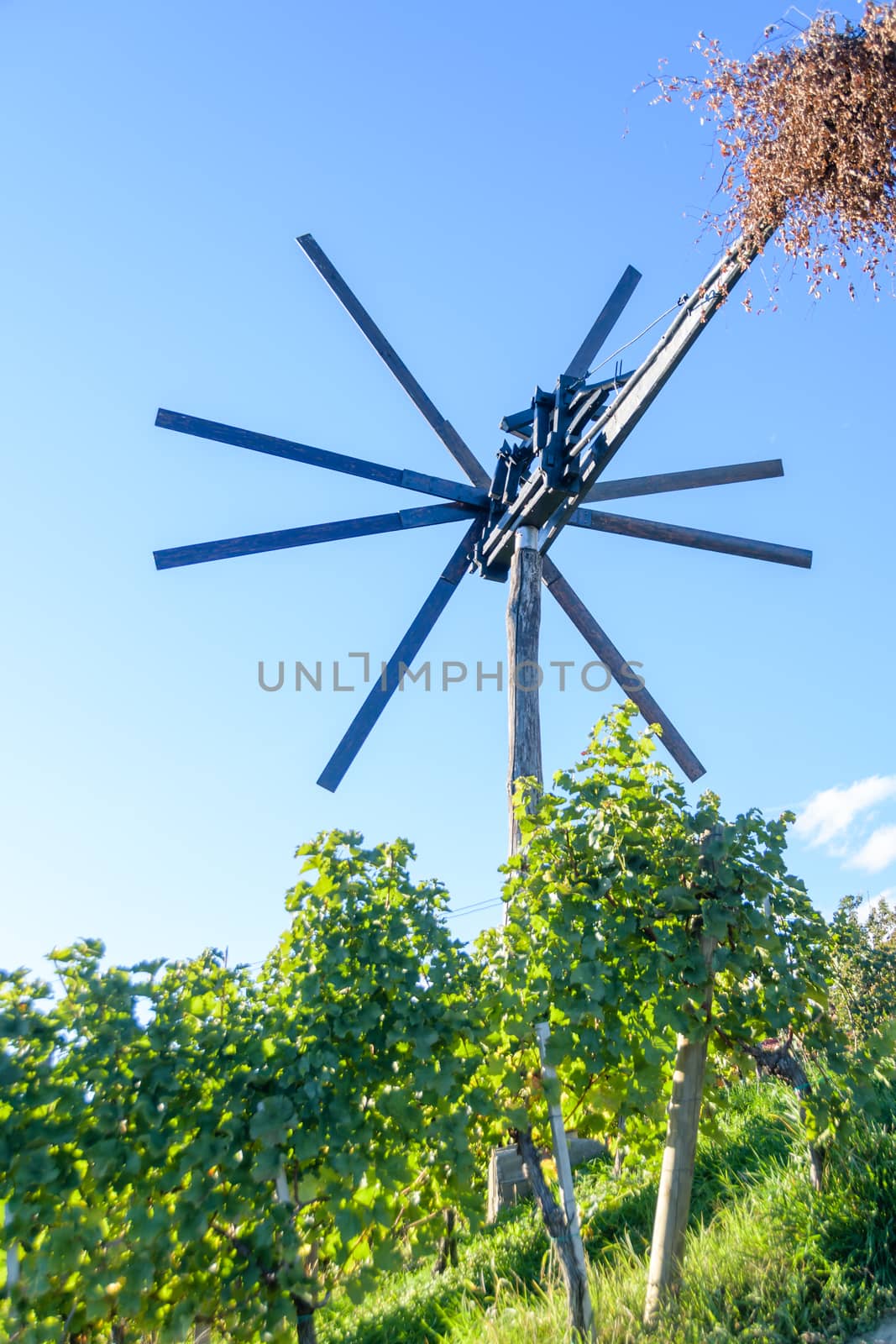 Klopotec, authentic traditional windmill in Slovenia found in vineyards to scare off birds, wine road and local attraction unique to Slovenia