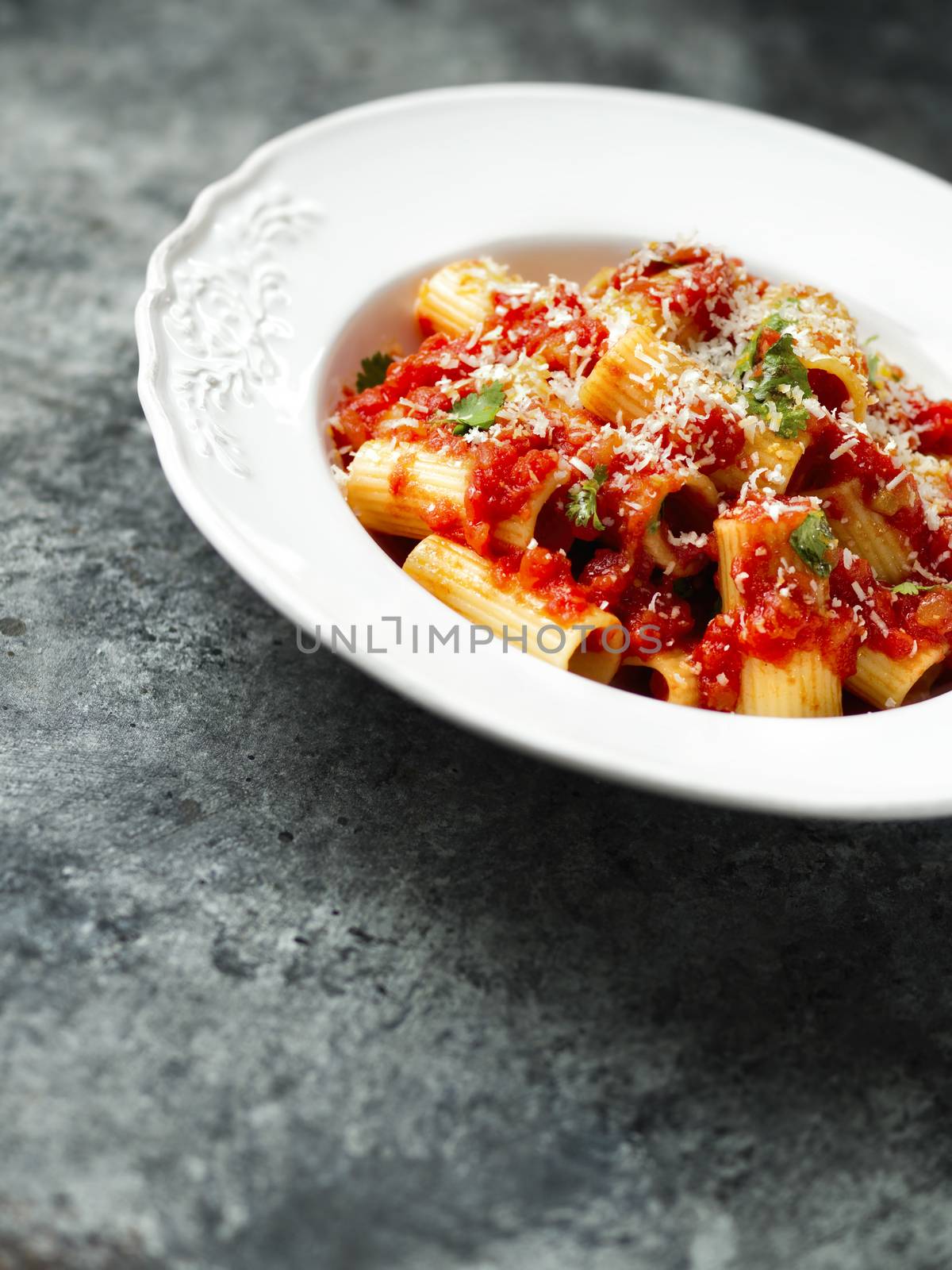 rustic italian rigatoni pasta in tomato sauce by zkruger