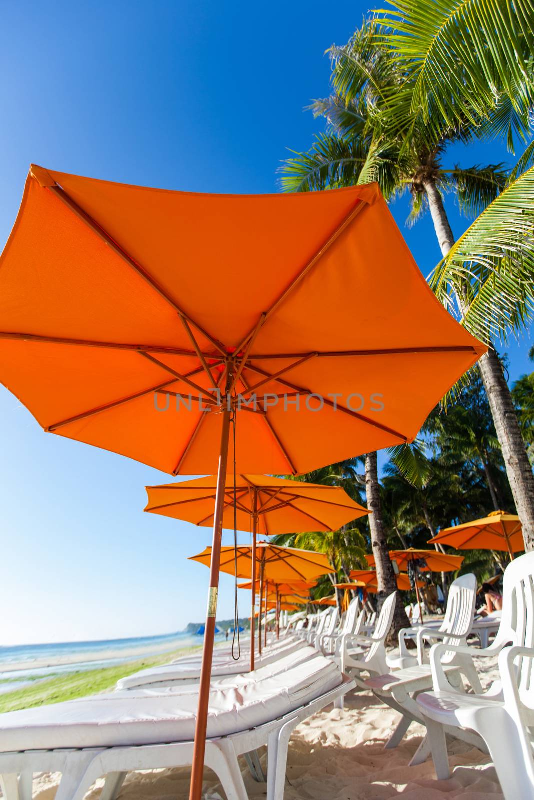 Many chairs and umbrella on sea beach under swaying palms