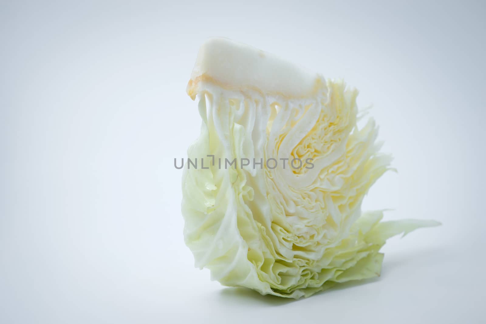 sliced cabbage on white background