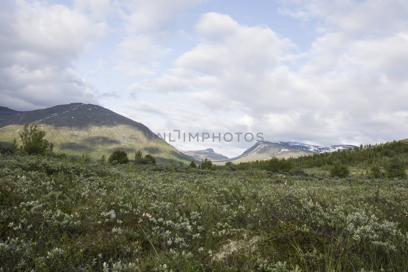 View of jotunheimen Nationalpark in norway by eswaran