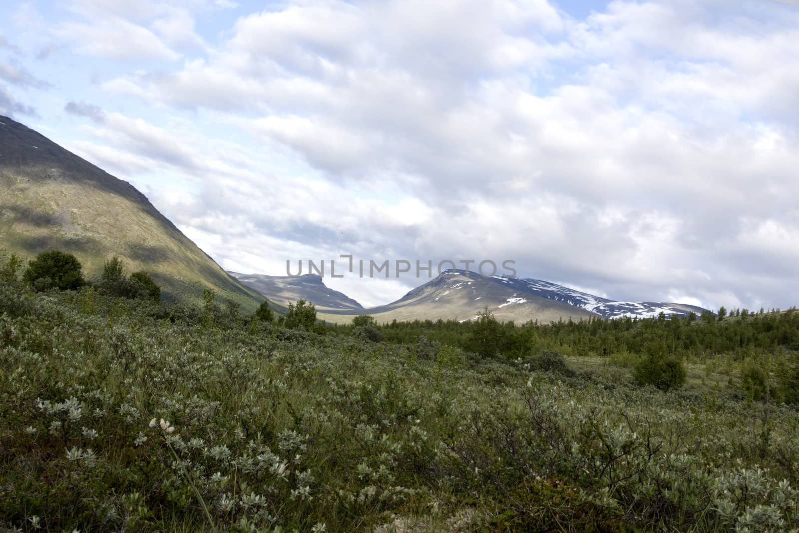 View of jotunheimen Nationalpark in norway on summer day