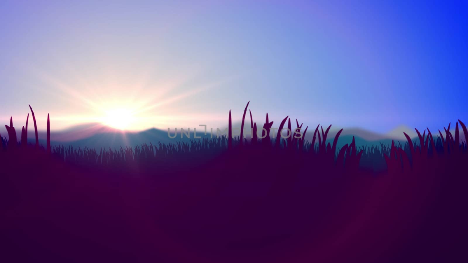 Original 3d illustration of a summer sunset in blue and violet impressionist colors. The horizon line divides light blue sky and violet reed, cane and bulrush.