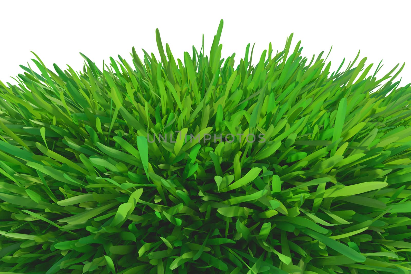 green grass piece isolated on white background. 3d rendering