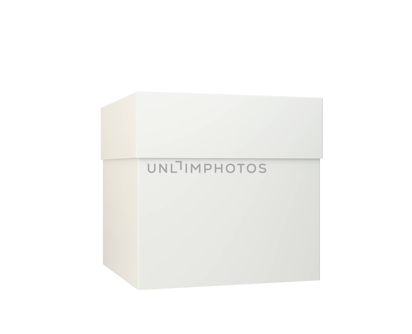 Blank box isolated on white background. 3d rendering