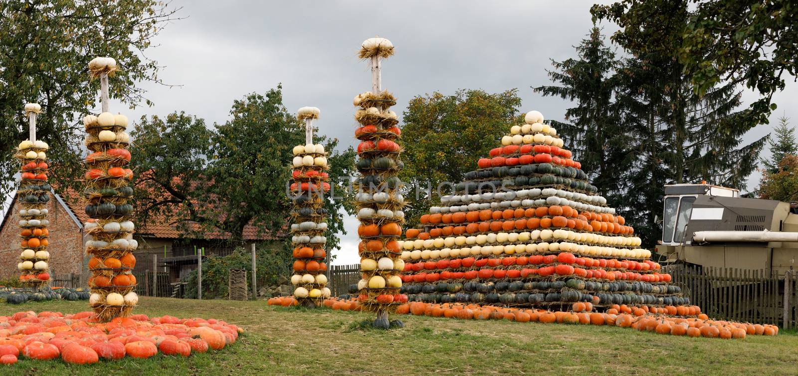 Autumn harvested pumpkins arranged for fun like pyramid with color variations. Halloween holiday concept on pumpkin world.
