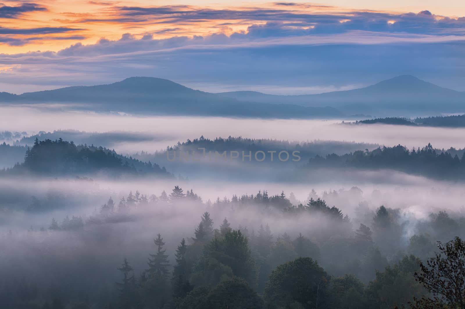 foggy morning over the Bohemian Switzerland by zhu_zhu