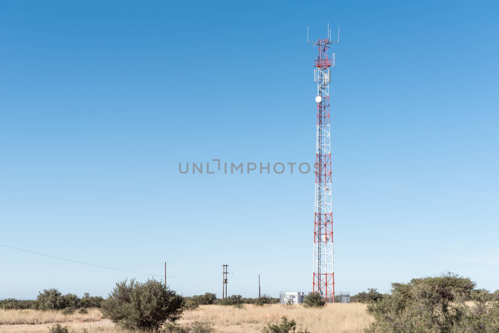 Cellphone communications tower in Campbell by dpreezg