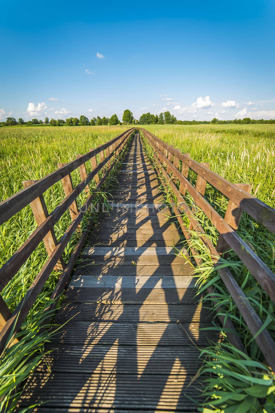 Wooden pavement in Narew National Park by furzyk73