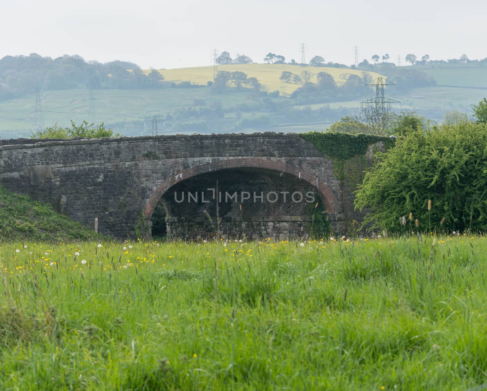 meadow with old bridge and rapeseed field