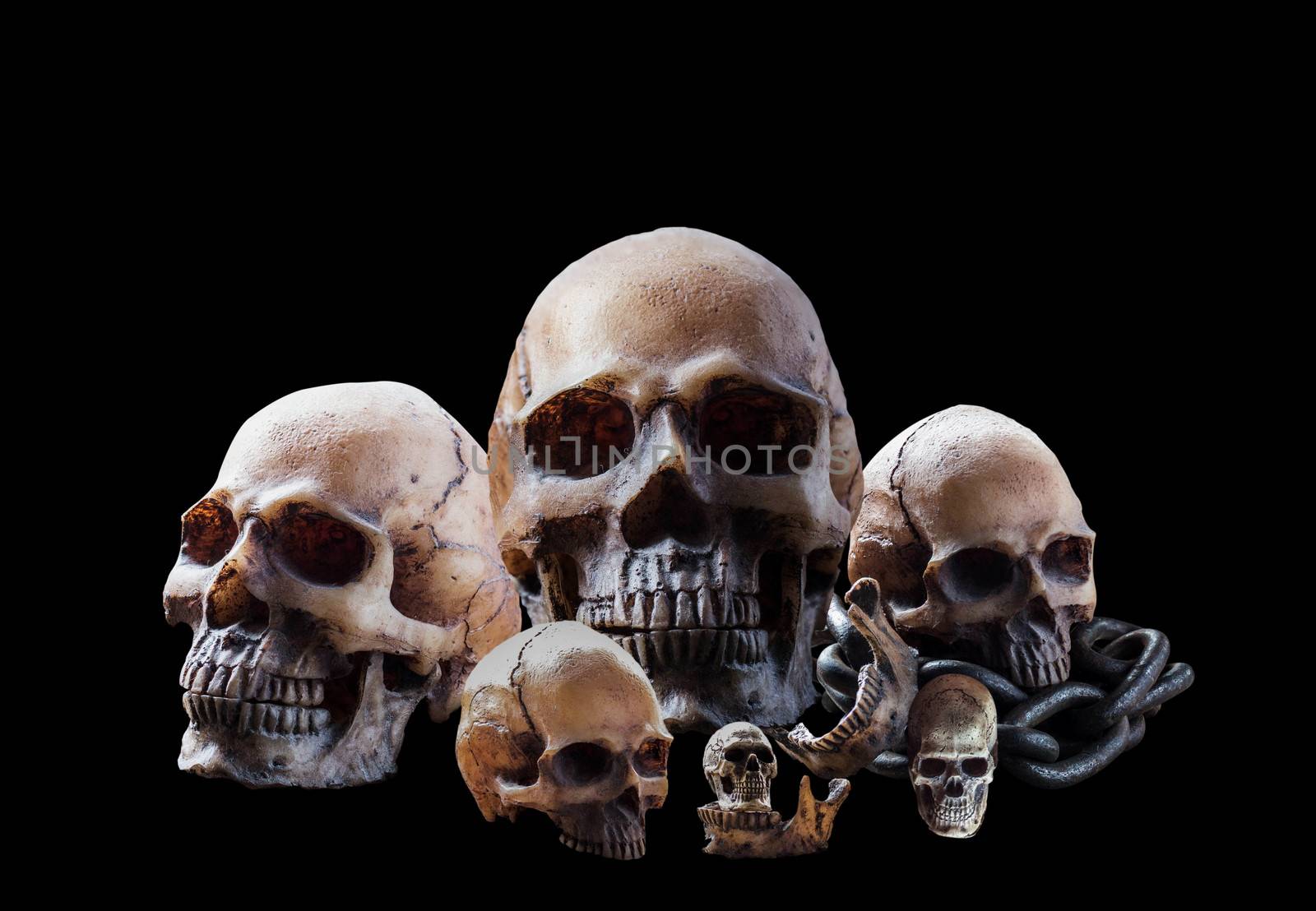 Many old skull on a black background.